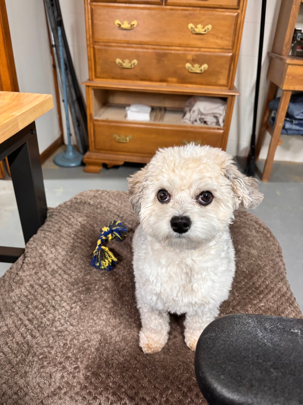 Where I’ve Been — And Why I’m Still&nbsp;Here